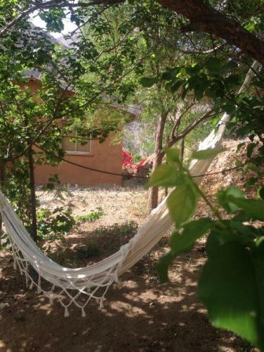 Refugios Pisco Elqui