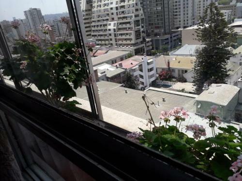 Apartamento Departamento Ecuador