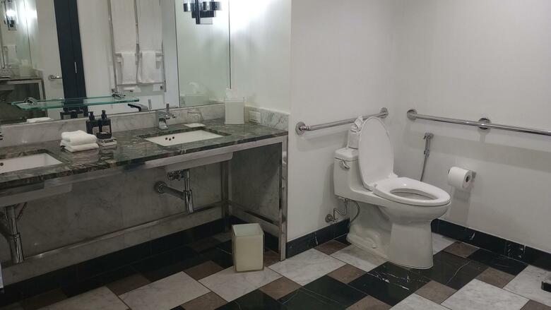 Hotel Viceroy Miami