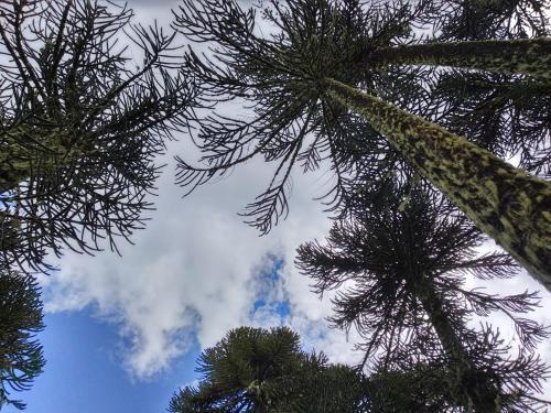 Lodge Caba�a Josefa Quetroleufu