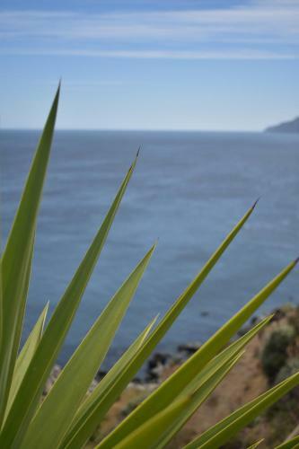 Lodge Caba�as Carilafquen