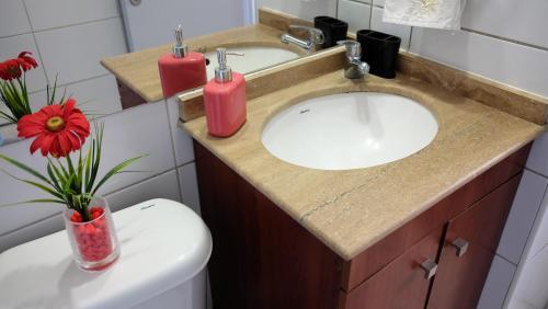 Santiago Wine Rent Apartments