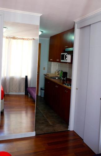 Santiago Wine Rent Apartments