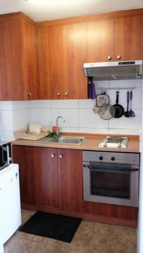 Santiago Wine Rent Apartments