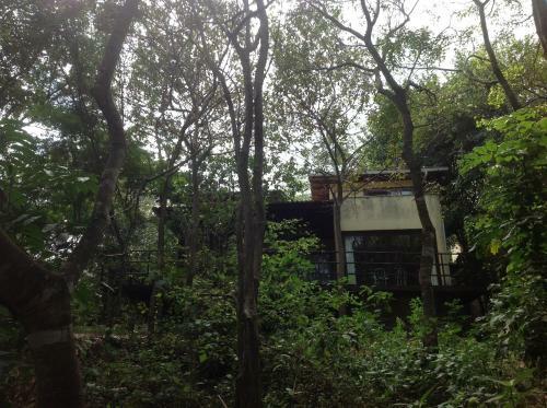Pipa Hills Casa Jasmin
