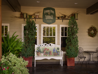 Hotel Cambria Pines Lodge