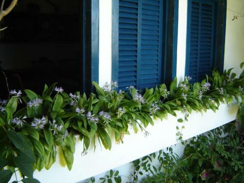Casa Magn�fica � Beira-mar