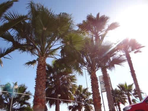 Hotel El Coral De Bah�a Inglesa