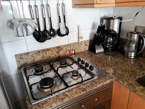 Apartamento Departamento Vi�a Del Mar Coraceros