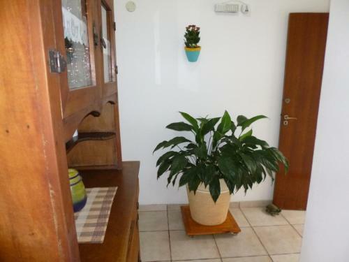 Hostal Pousada Ubatuba
