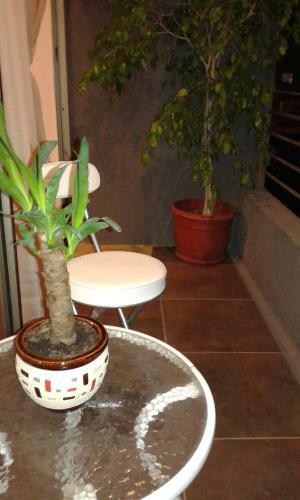 Apartamento Centro Tarapaca