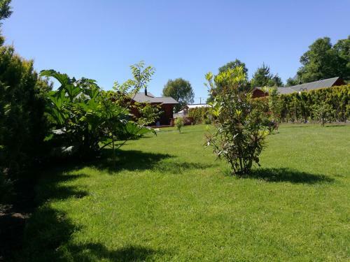 Caba�as Troncos De Pucon