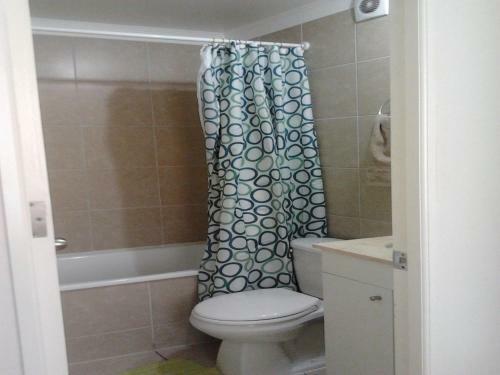 Apartamentos En Santiago Centro