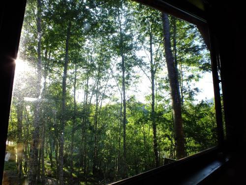 Estaci�n Benedicto Caf� Y Hostal