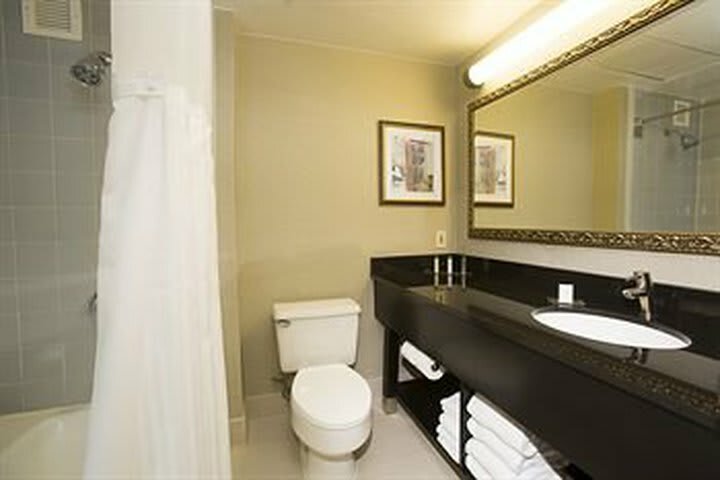 Doubletree Hotel Detroit/novi