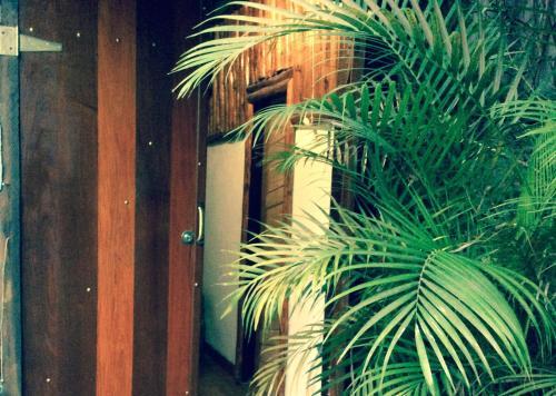 Apartamento Canto Do Buganville