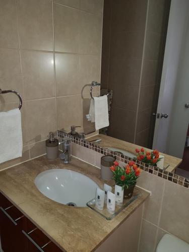 Apartamento San Isidro Plaza 292