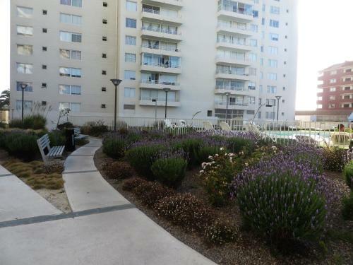 Apartamento Serena Pac�fico 1003