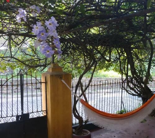 Pouso Das Glic�nias - B&B