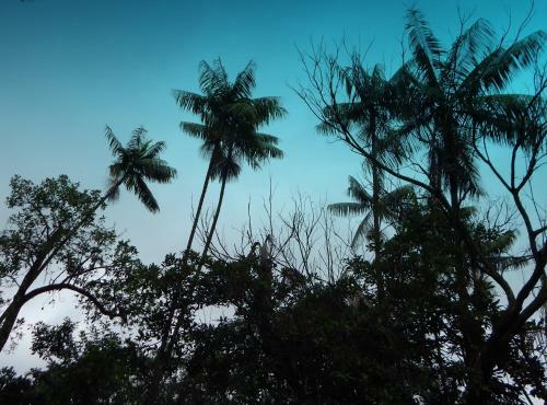 Pouso Das Glic�nias - B&B