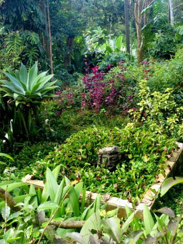 Pouso Das Glic�nias - B&B