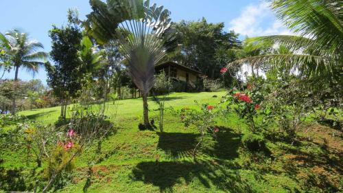 Apartamento Itacare Bangalos