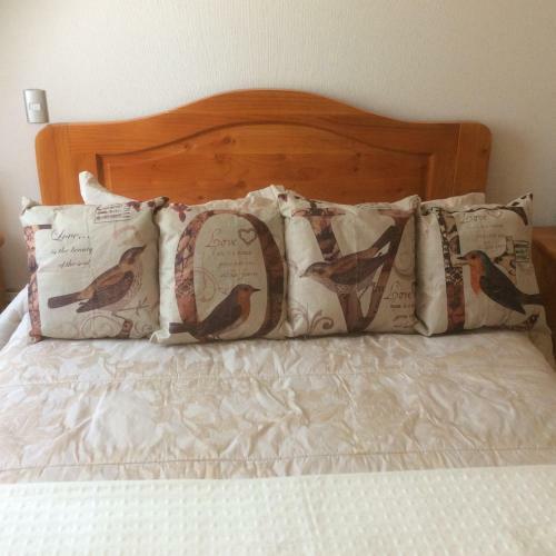 Apartamento Departamento Parque Del Volc�n.