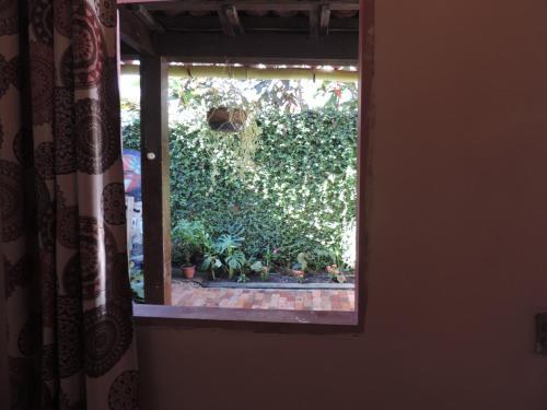 Posada Adventure Hostel Centro Hist�rico