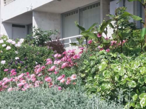 Apartamento Bello Valparaiso