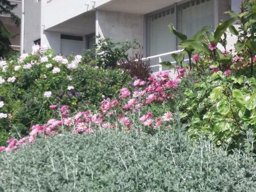Apartamento Bello Valparaiso