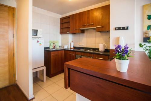 Apartamento Departamento En Santiago Centro