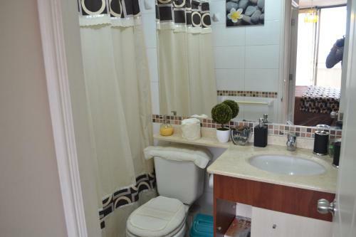 Apartamento Departamento En Santiago Centro