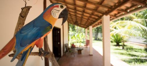 Casa Leste - Vila Rosa Dos Ventos