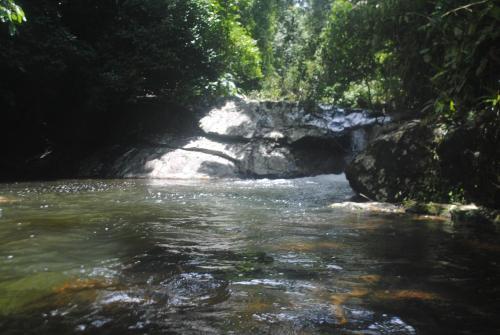 Hostal Pousada Jardim Dos Oliveiras