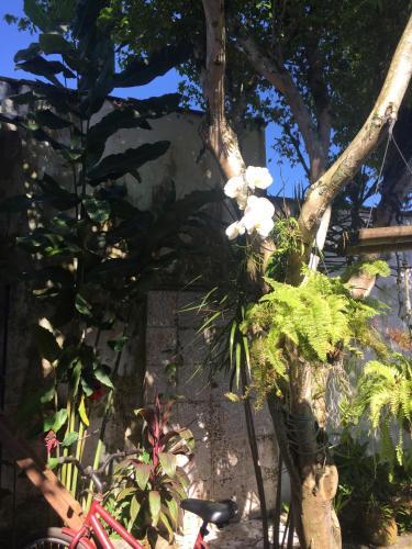 Hostal Pousada Jardim Dos Oliveiras