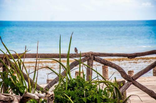 Hostal Na Beira Do Mar Pousada