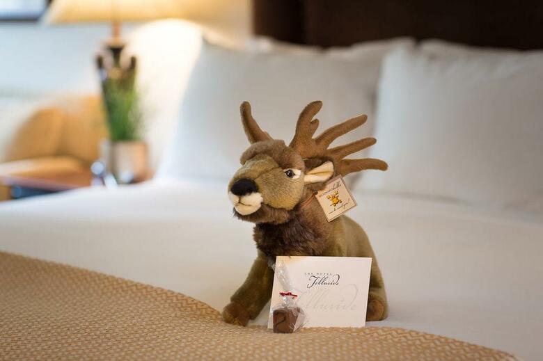 The Hotel Telluride