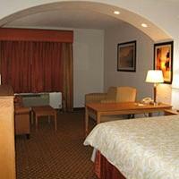 Hotel La Quinta Inn & Suites Alvarado