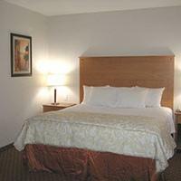 Hotel La Quinta Inn & Suites Alvarado