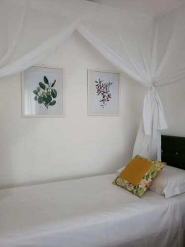 Apartamentos E Su�tes Arraial