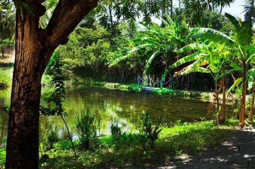 Caju Paradise Paracuru
