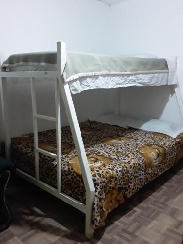 Albergue Hostal Los 3 Leones