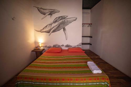 Albergue Hostal Galapagos Morning Glory