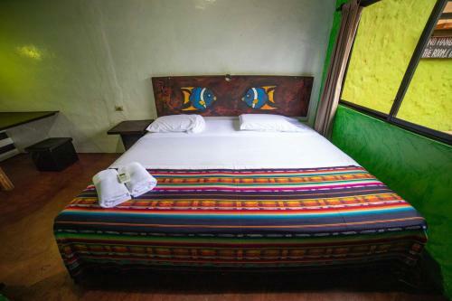 Albergue Hostal Galapagos Morning Glory