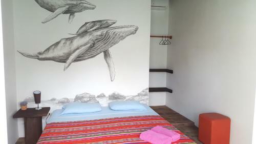 Albergue Hostal Galapagos Morning Glory