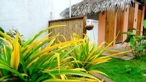 Posada Caba�as Playa Sur