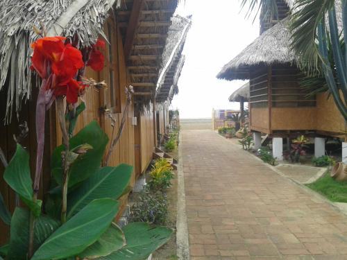 Posada Caba�as Playa Sur