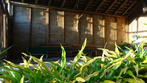 Posada Caba�as Playa Sur