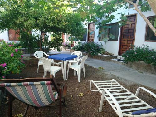 Hostal Hospedaje Darwin B&B