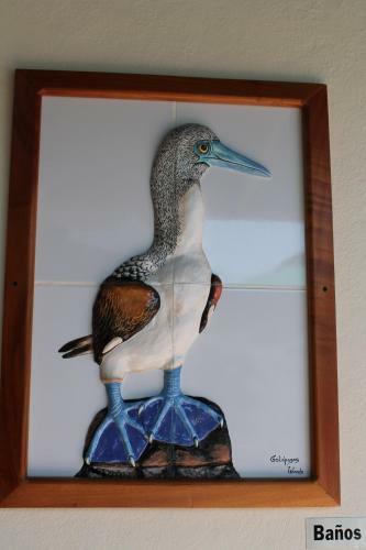 Galapagos Cottages